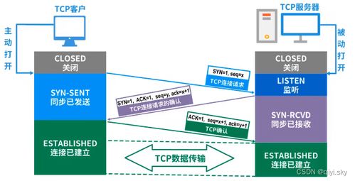 計算機網(wǎng)絡(luò)體系結(jié)構(gòu)中的關(guān)鍵術(shù)語解析