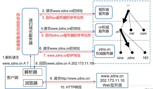 域名系統(DNS) 互聯網的“電話簿”——起源、原理與服務解析